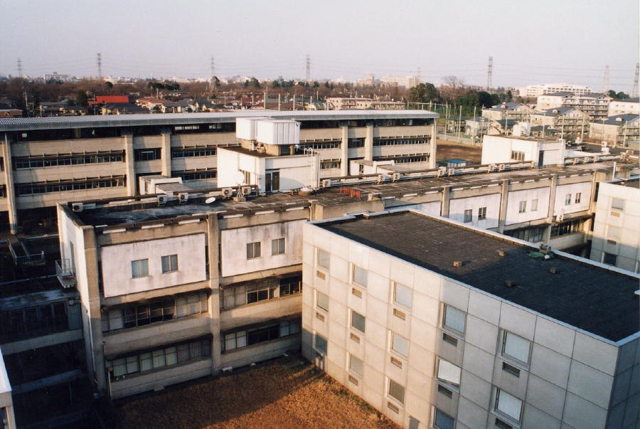 Image61