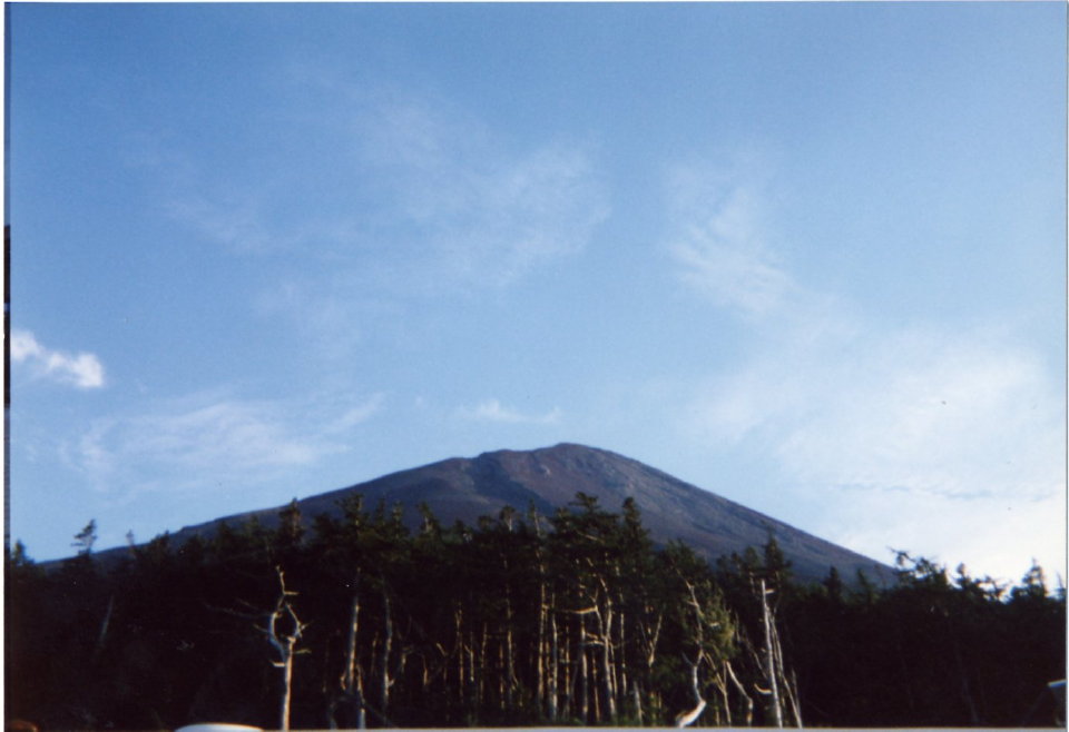 91FUJI019