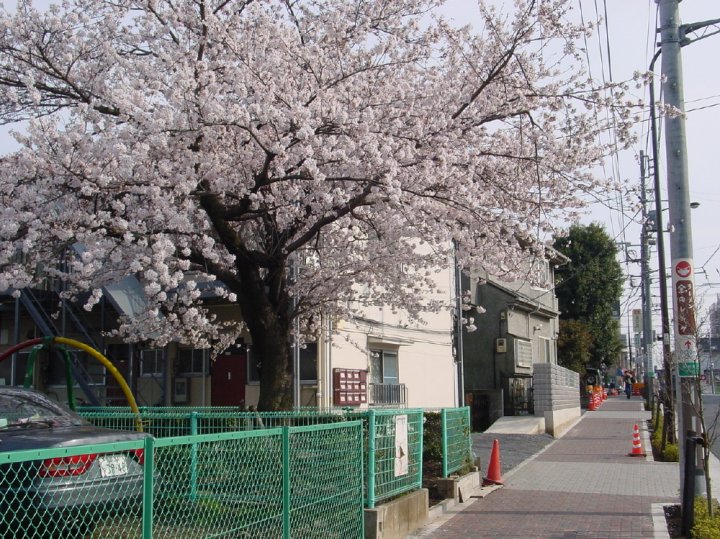 DSC01043