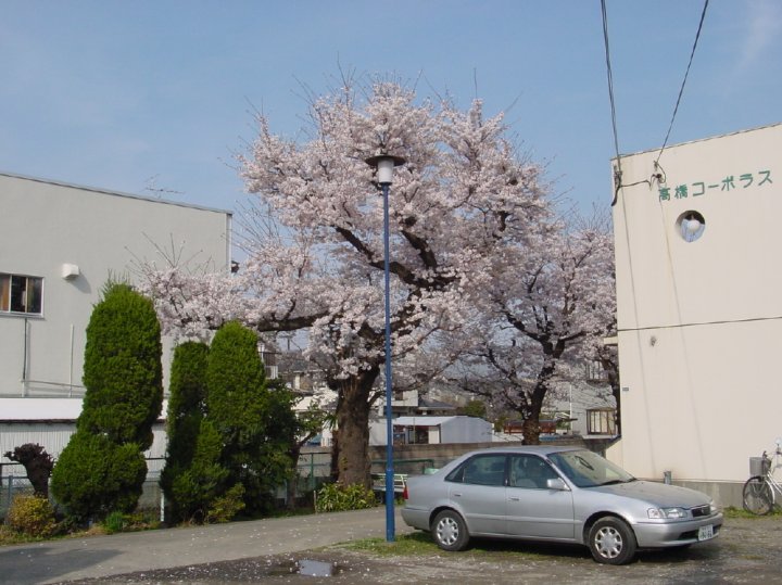 DSC01045