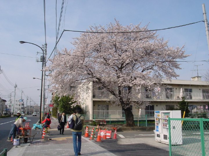 DSC01047
