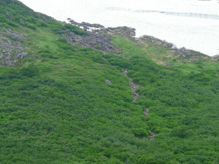 天狗原よりの急登