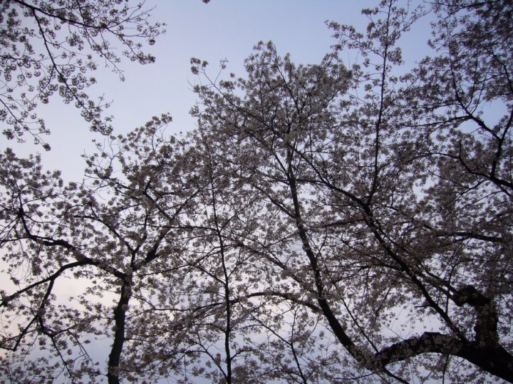 P1080720