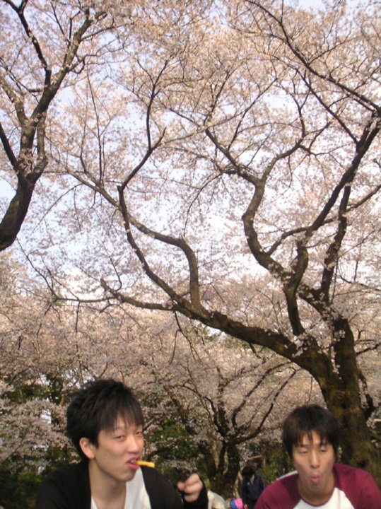 PICT4790