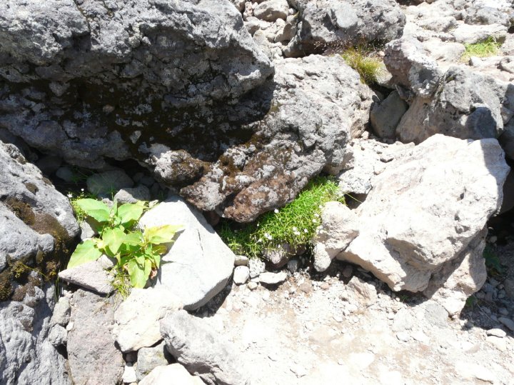 P1030949