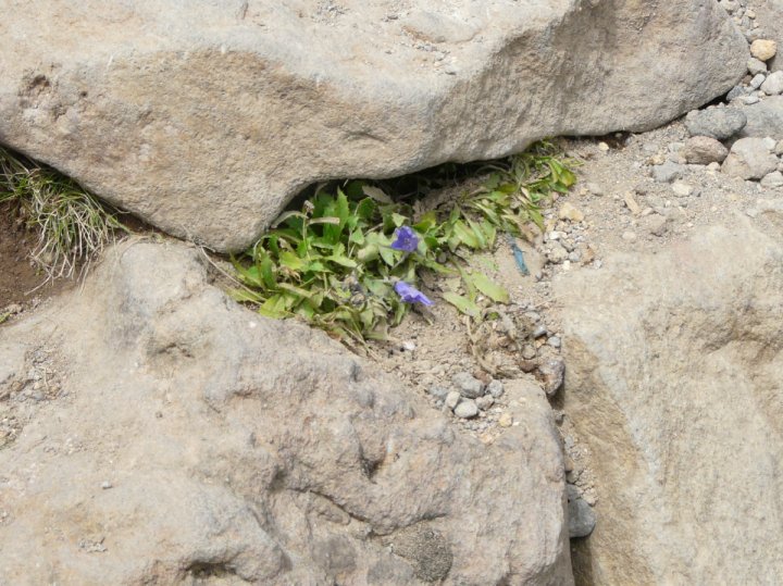 P1030956