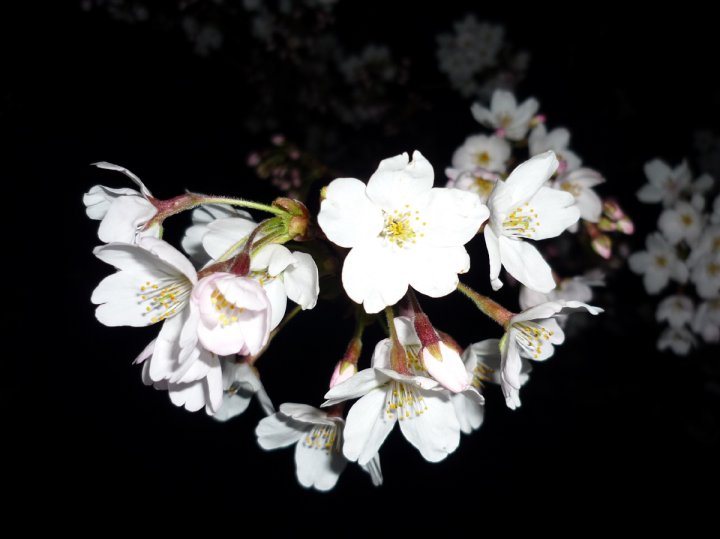 P1020088